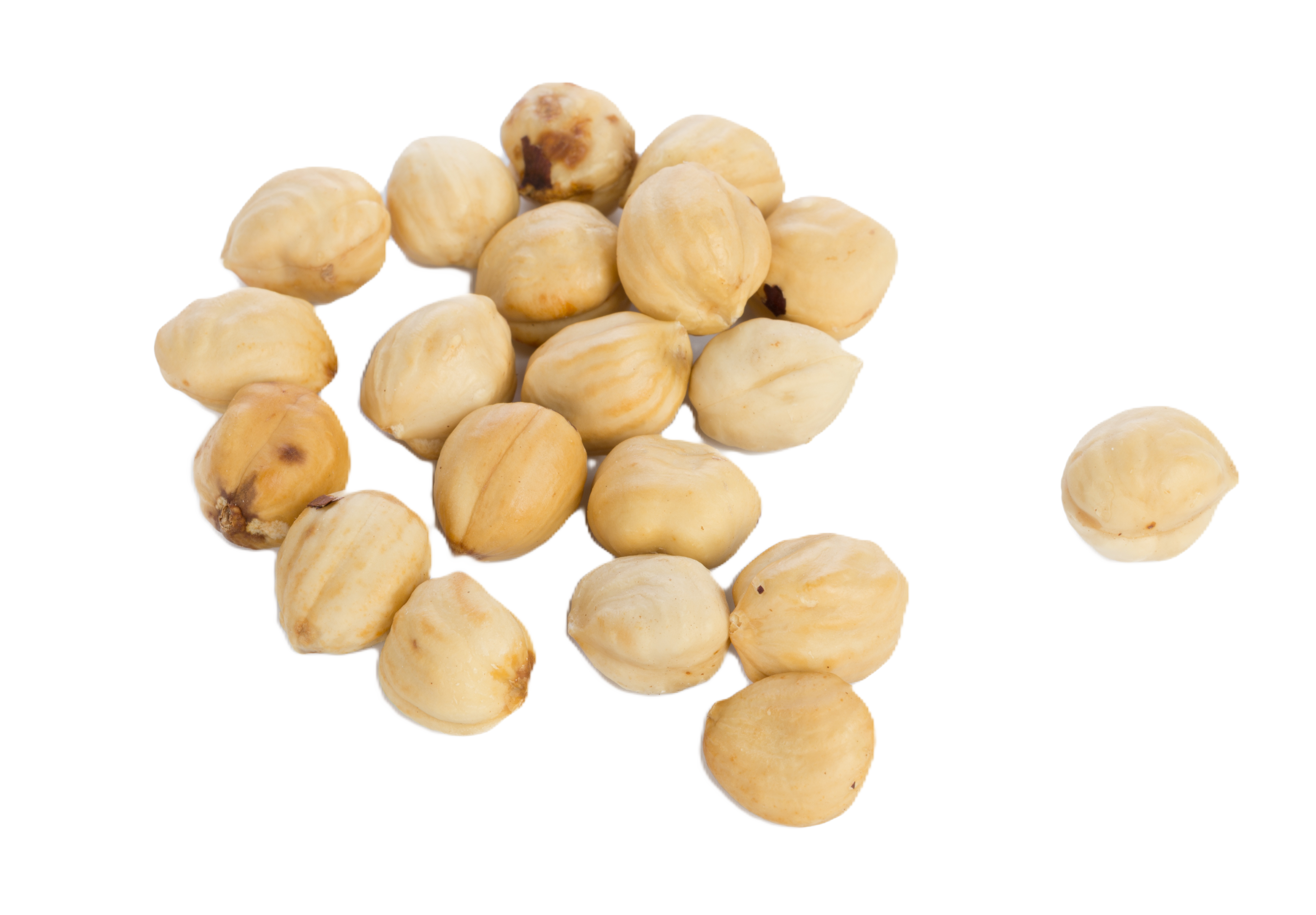 Chickpea